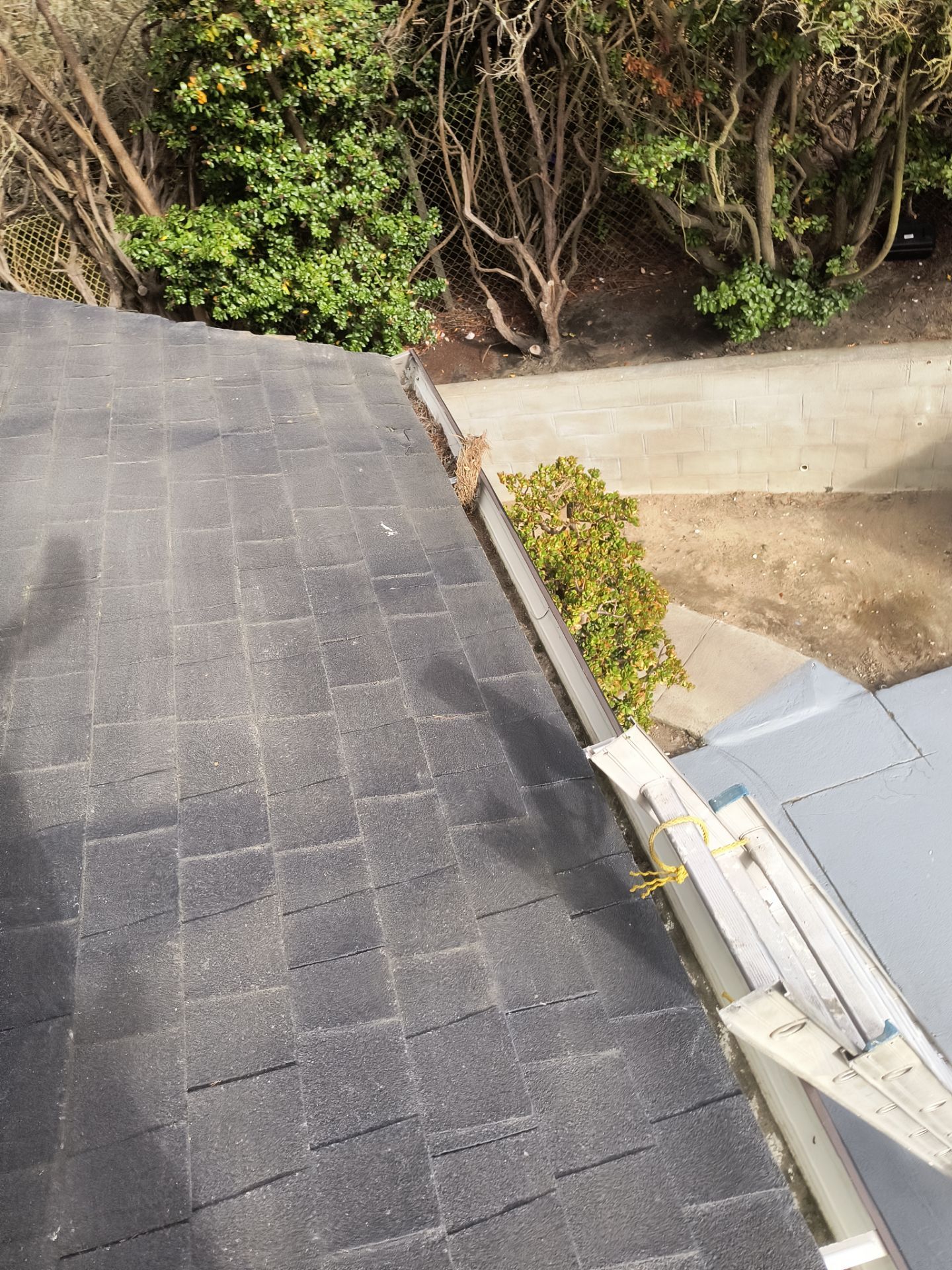 HOA gutter cleaning before photo
