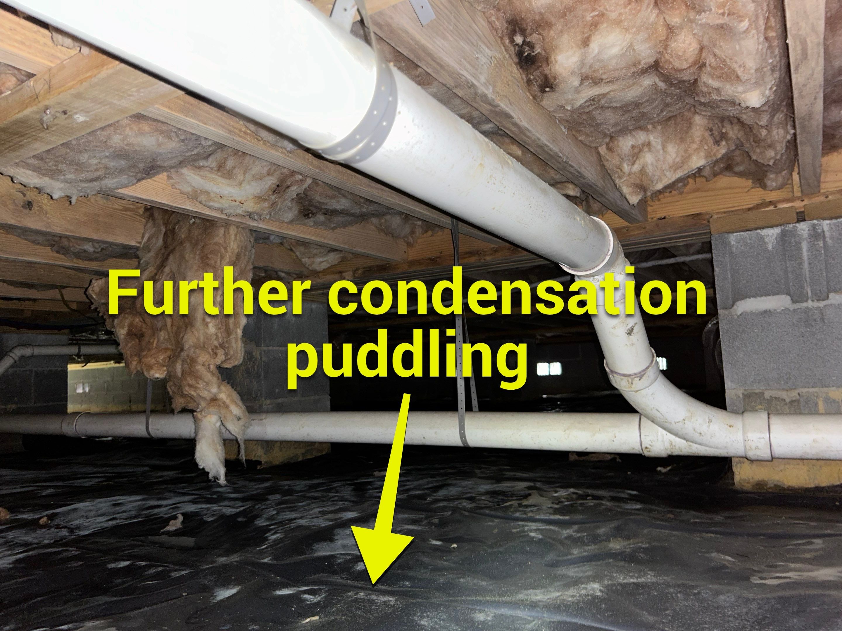Premium Encapsulation with 20Mil, Borafoam insulation and Light System. by Impact Crawlspace