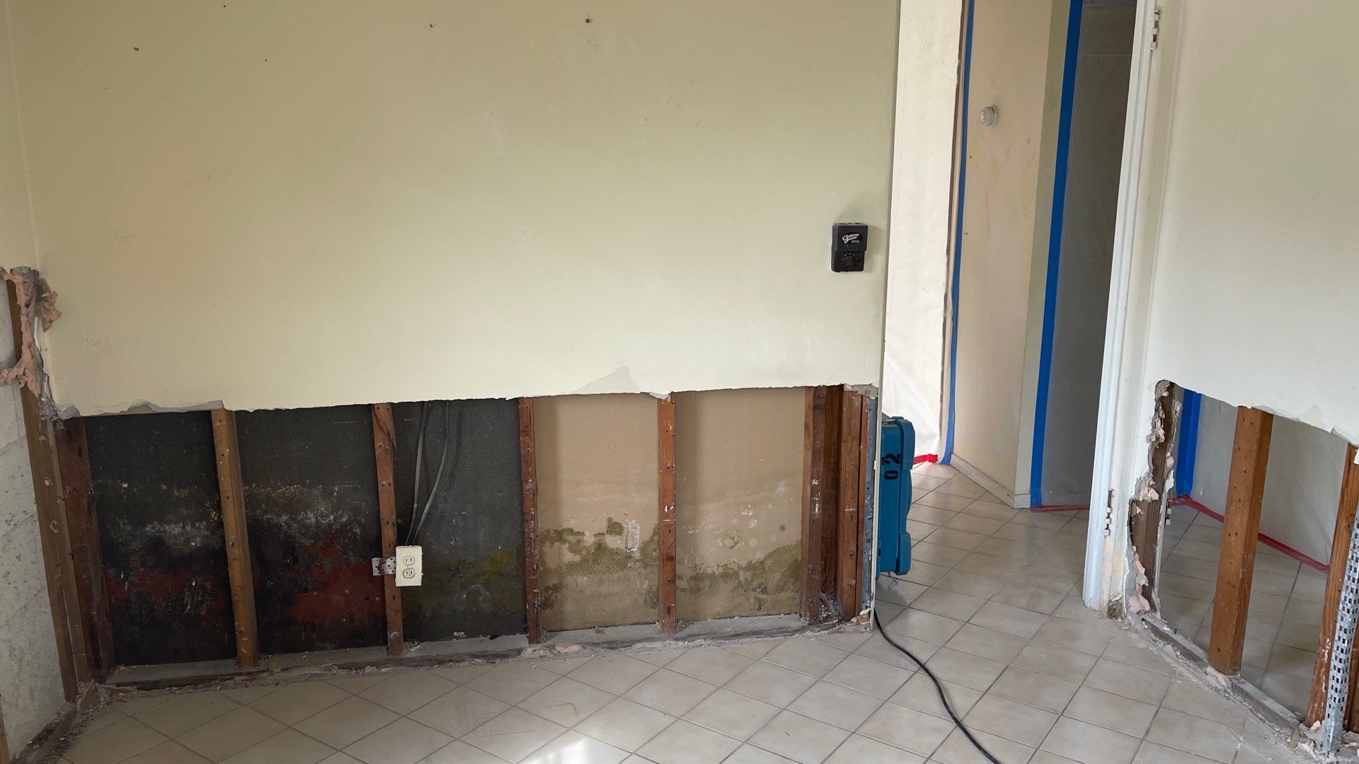 Mold Remediation  by THE RAPID TEAM