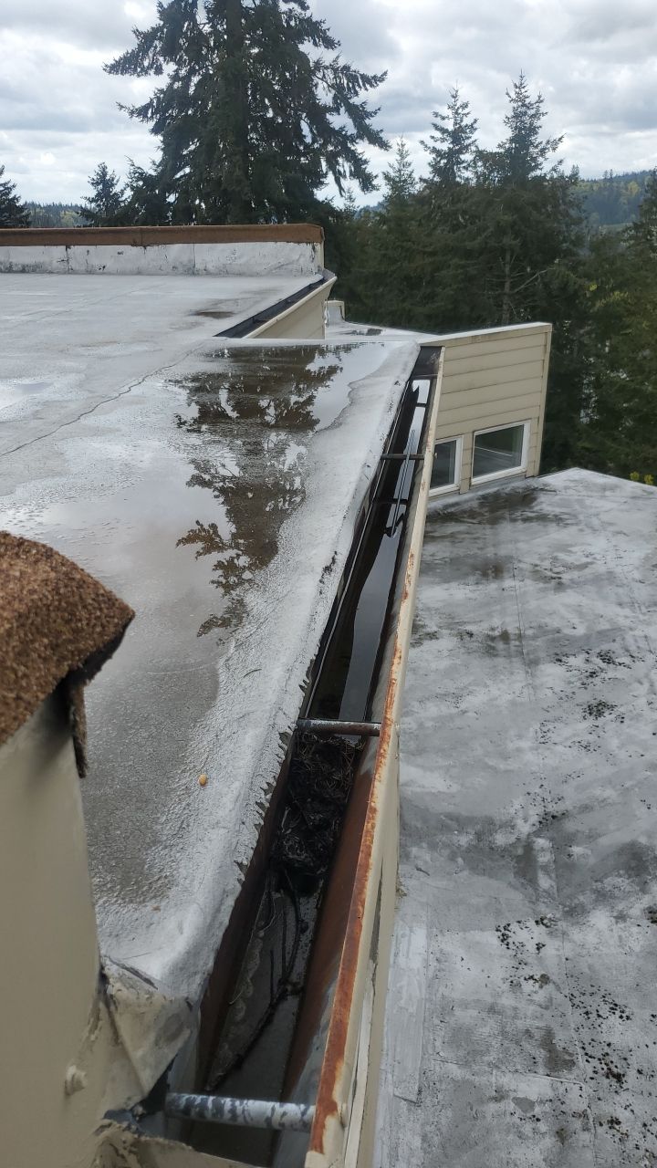 Gutter Cleaning using Moderate Pressure by Willamette Outdoor Wash LLC