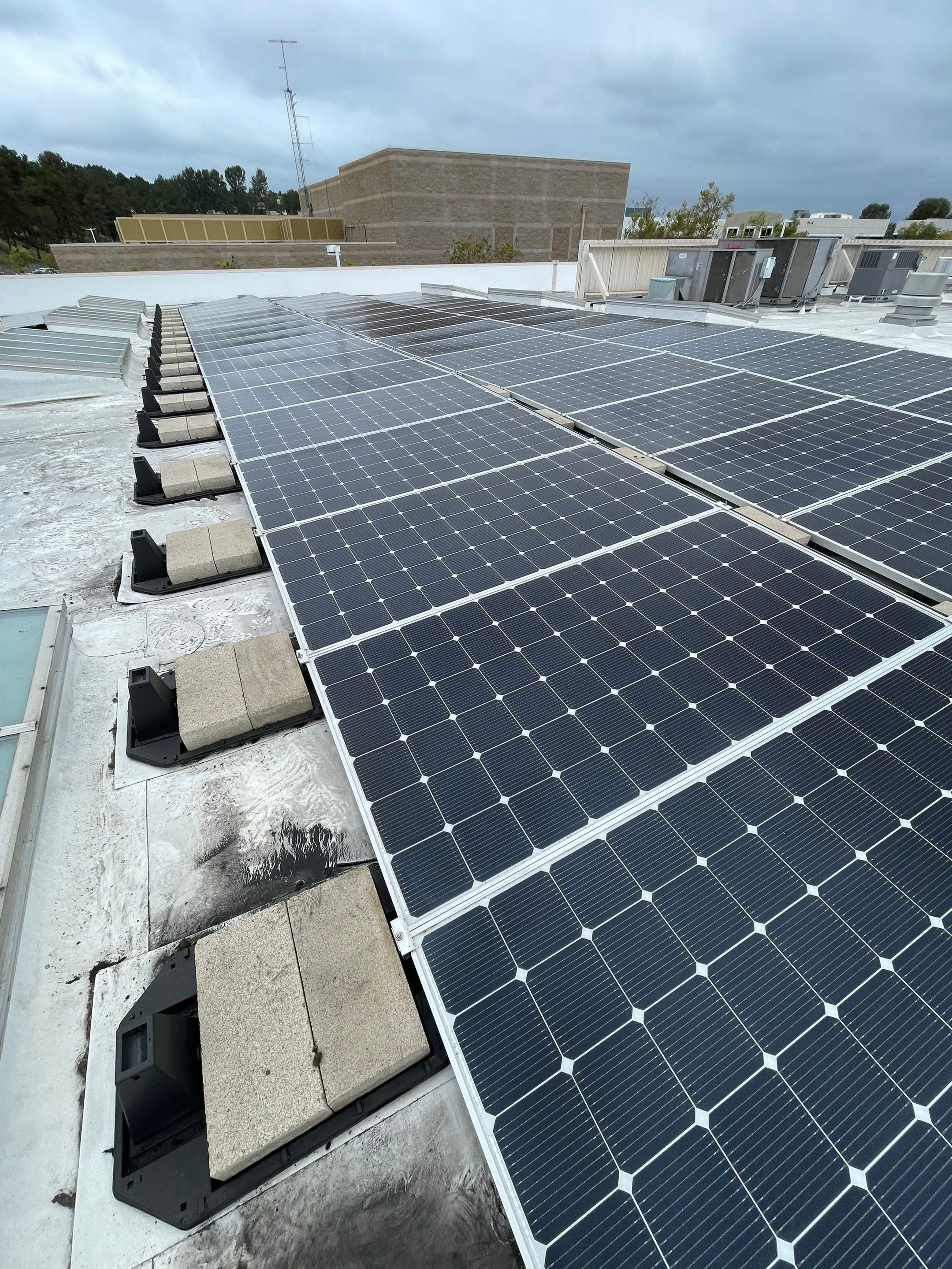 Commercial Solar Cleaning by Palm Coast Solar Cleaning