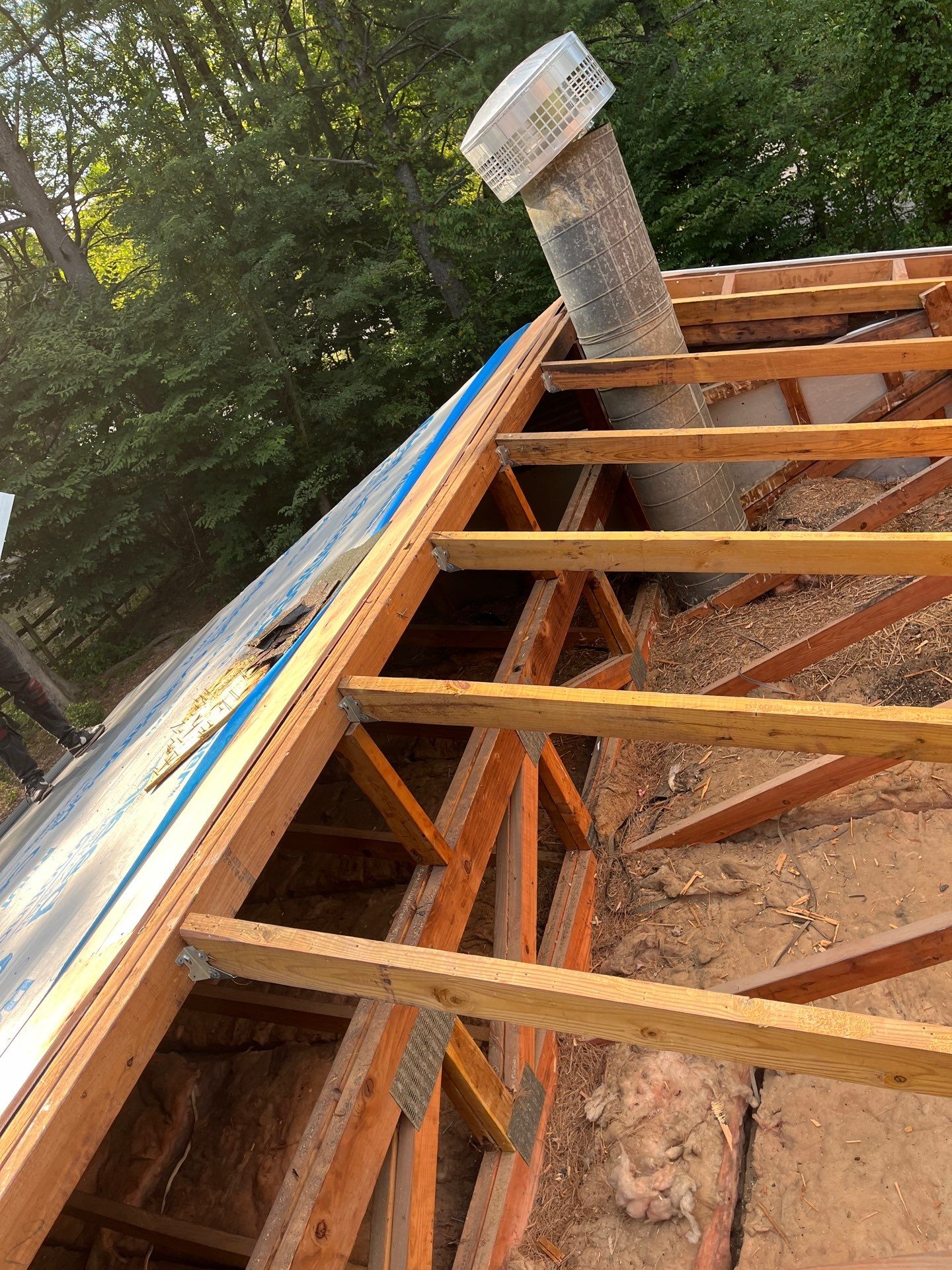 Reston: Roof Replacement with CertainTeed Landmark Pro Designer Shingles in Max Def Moire Black by RM Banning, Inc.