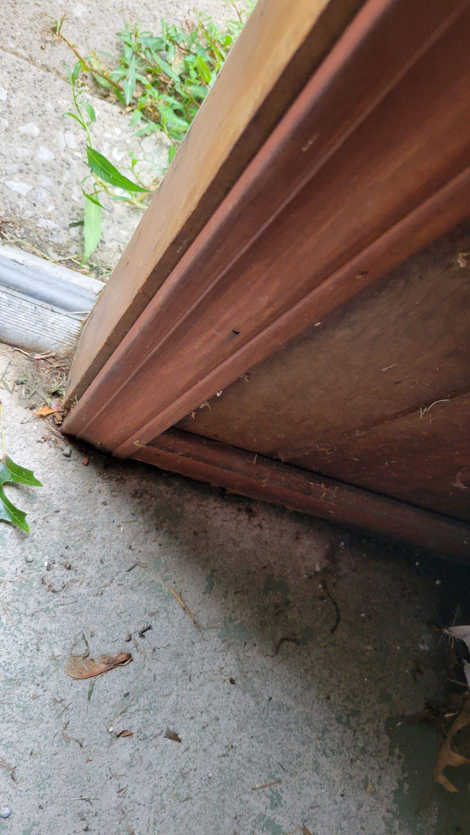 Tree Destroyed Patio Room by Absolute Roofing and Construction