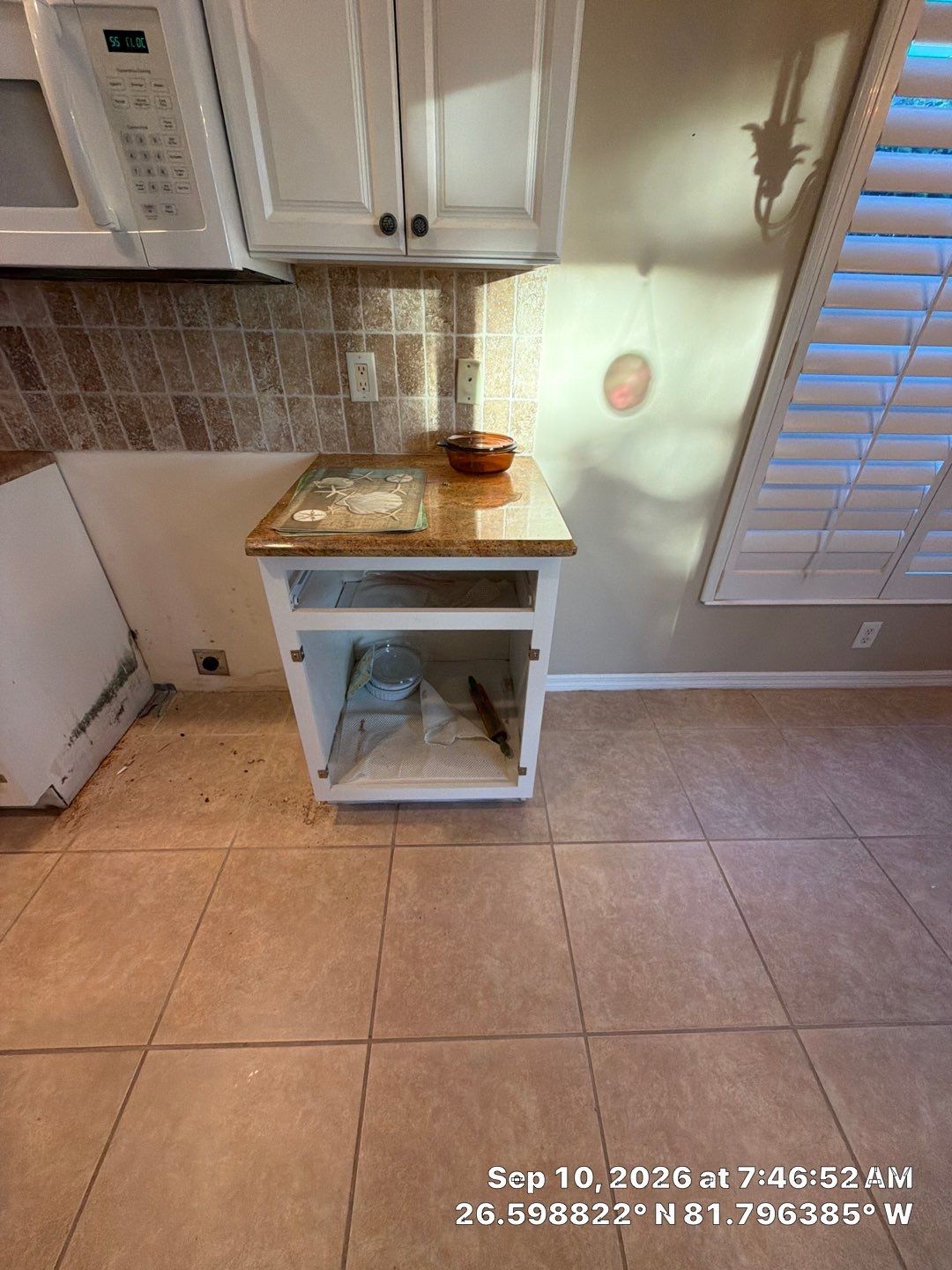 Fort Myers Water Damage Restoration and Professional Mold Remediation by Microscope
