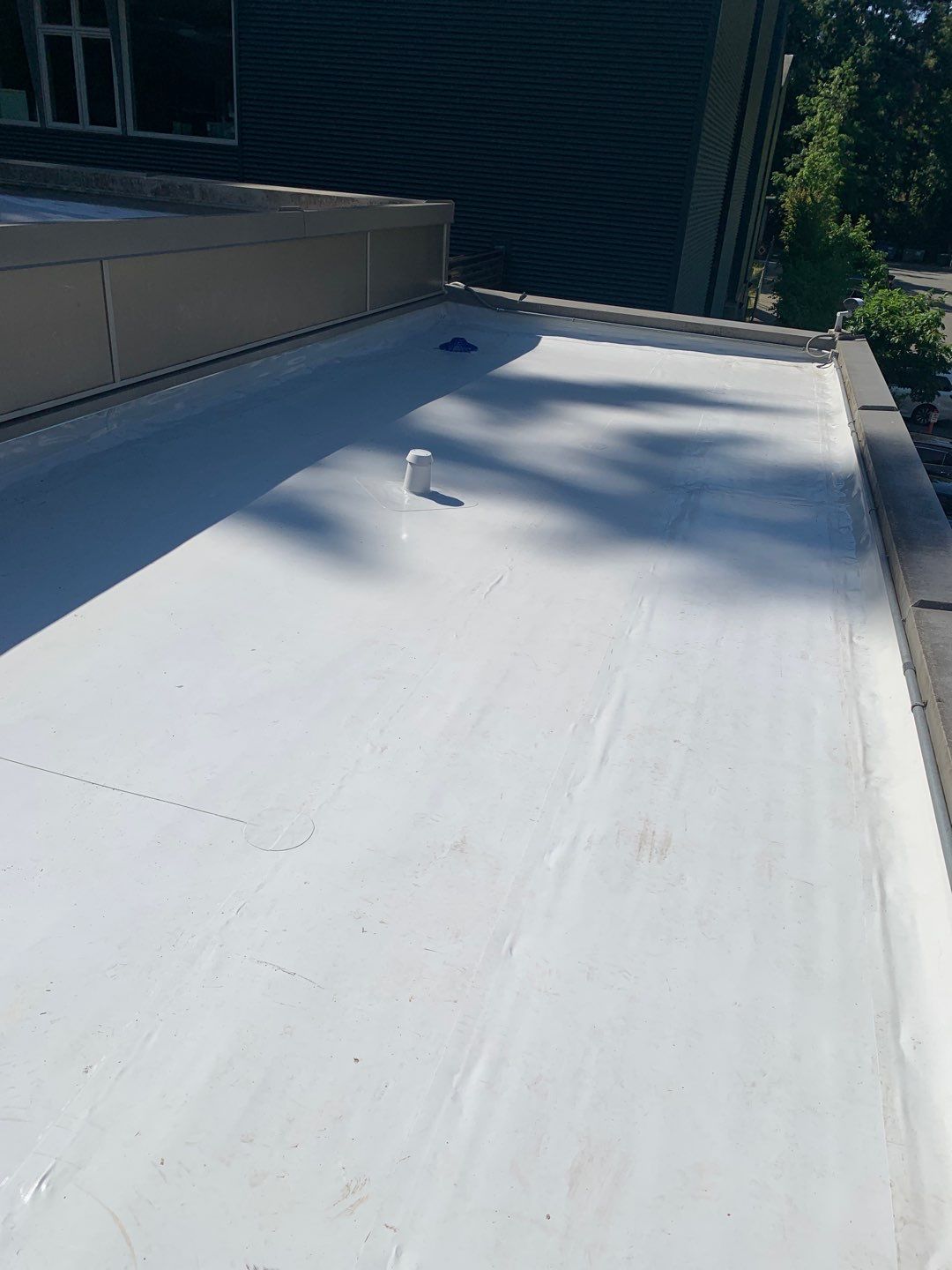 2026 Bellevue Commercial Building Overlay by Alternative Roofing Systems Inc. 