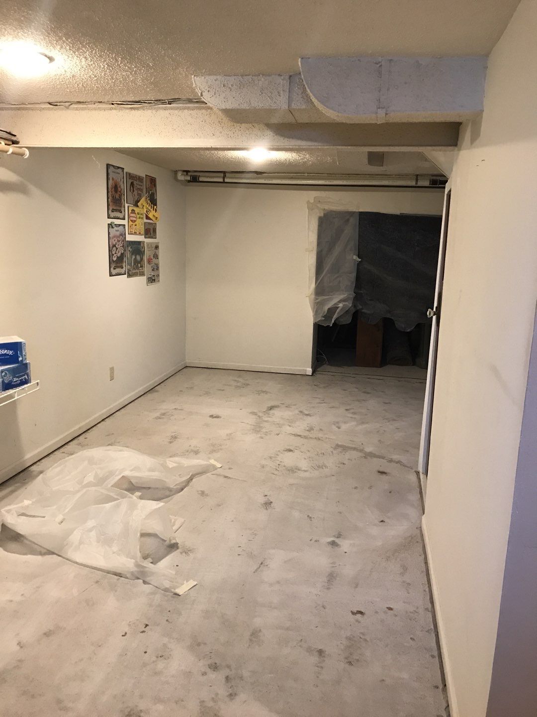 Basement using Driftwood by Select Painting, Coatings & Garage Cabinets