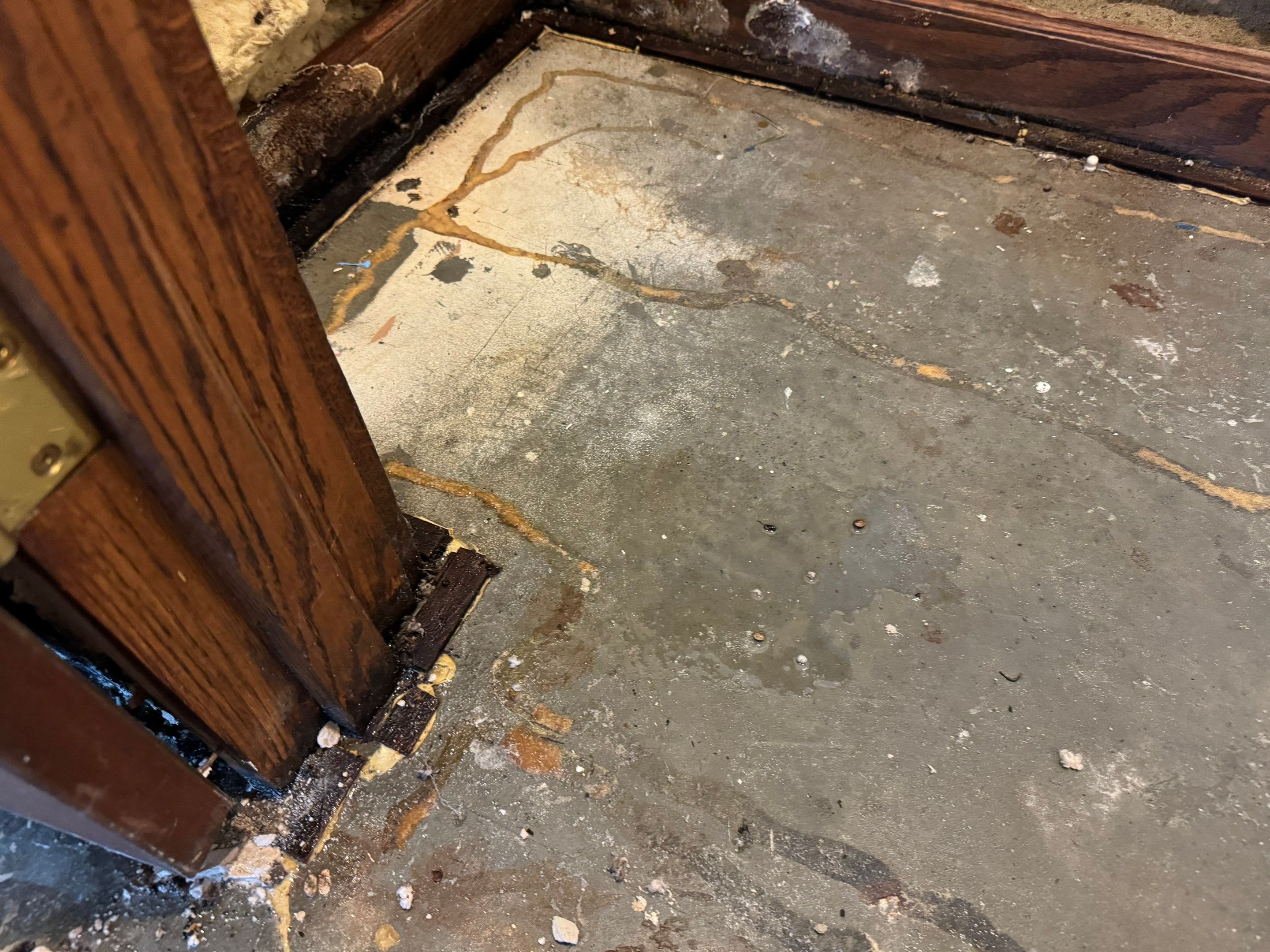 Major Basement Remediation / Restoration by Home Guarantee, LLC