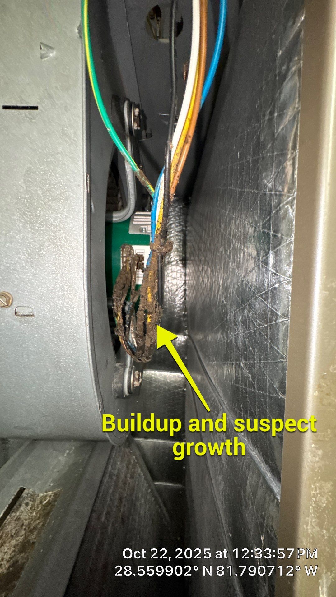 Air Duct, Dryer Vent, Bathroom Exhaust Cleaning in Groveland by Hygienic Air, Inc