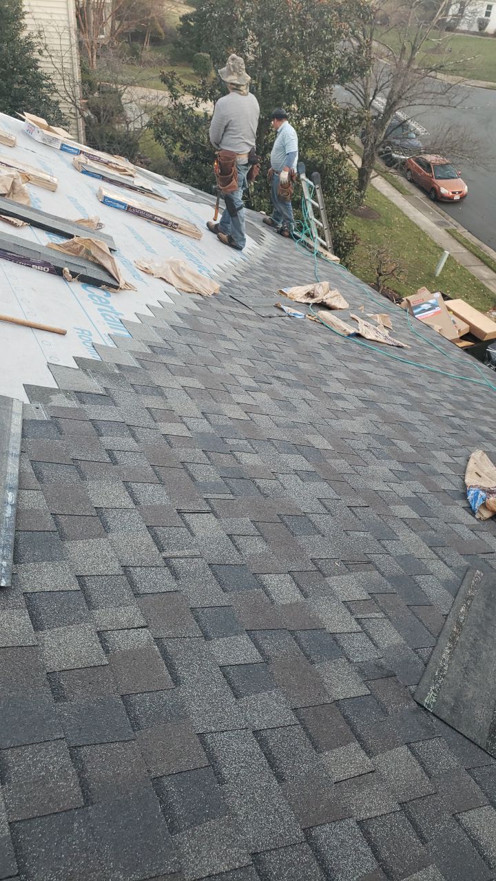 Vienna: Certainteed Landmark Pro Designer Shingles in Max Def Driftwood by RM Banning, Inc.