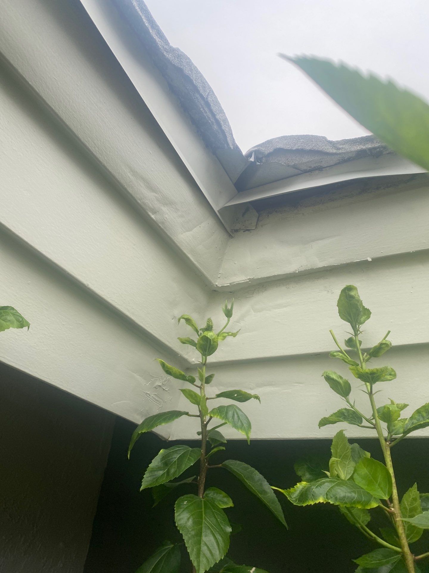 7-Inch Seamless Gutters Upgrade in Osprey FL by Gutter Professors