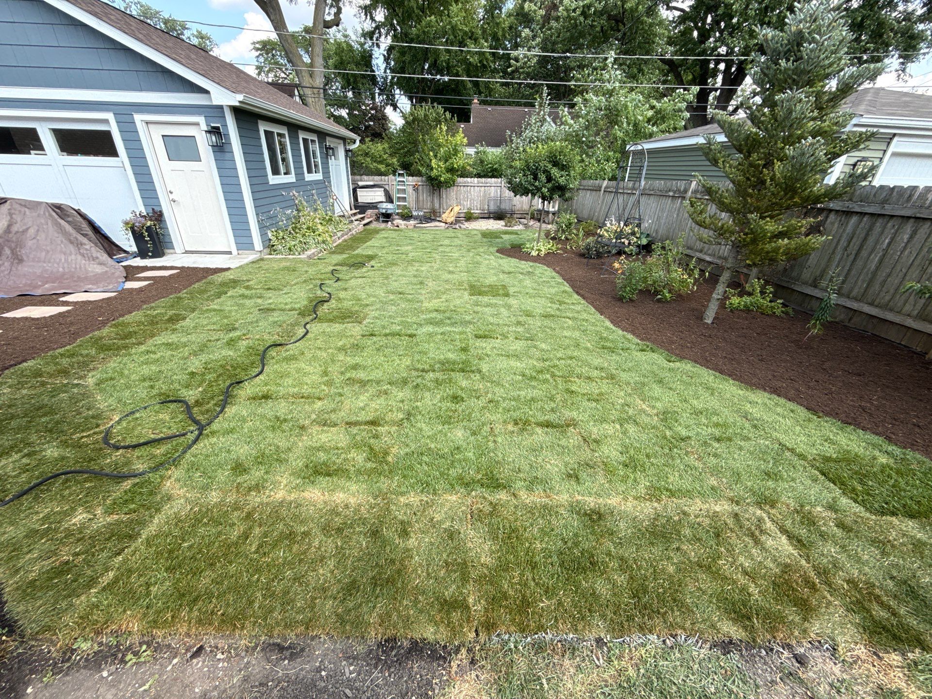 Joanne C. - Mount Prospect, IL by A&N 