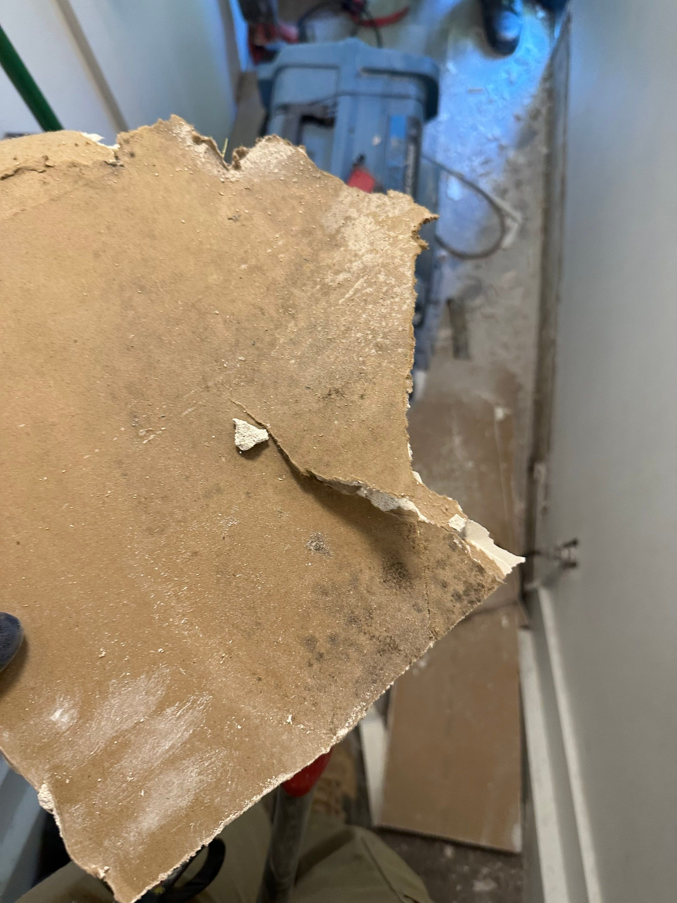 Water Damage in Denver, CO by Alpha Restoration 