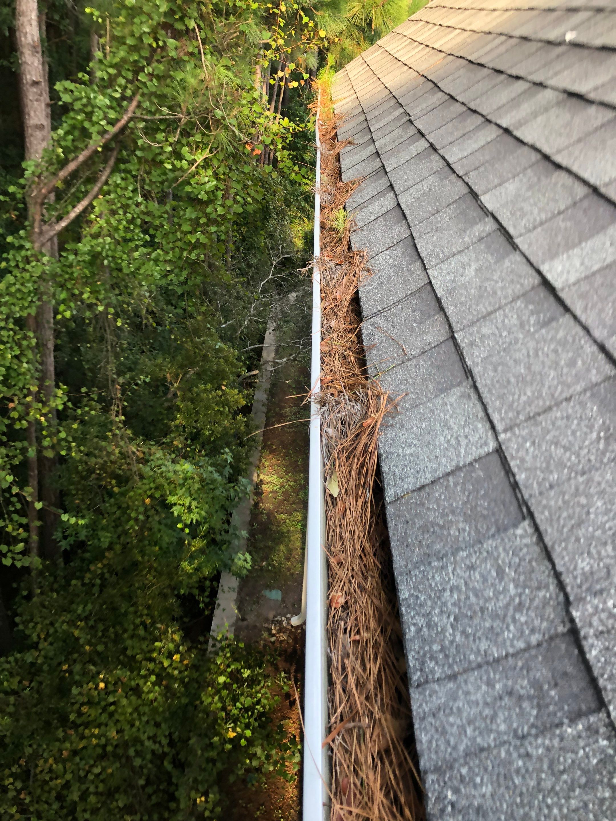 Commercial gutter cleaning Myrtle Beach before photo with filled gutters