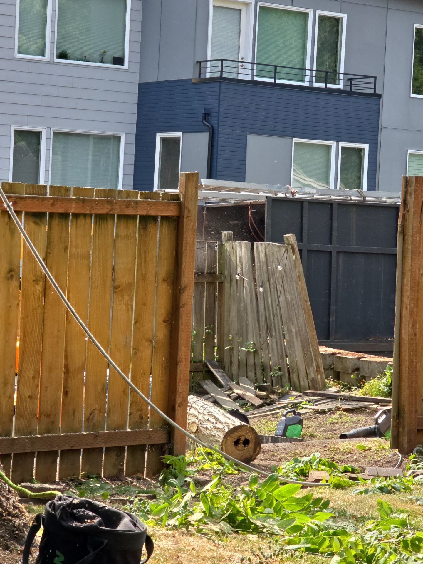 Seattle Hazard Tree Removal by Sound Tree Care LLC