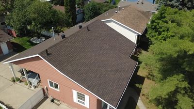 Autumn Brown on Mystique 