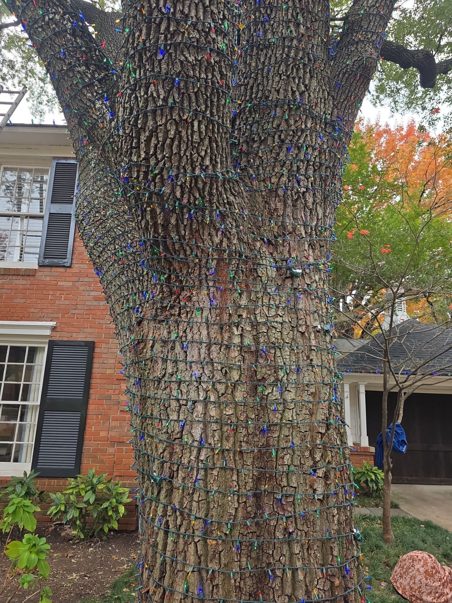 Project in Dallas by Armor Roofing | Exteriors