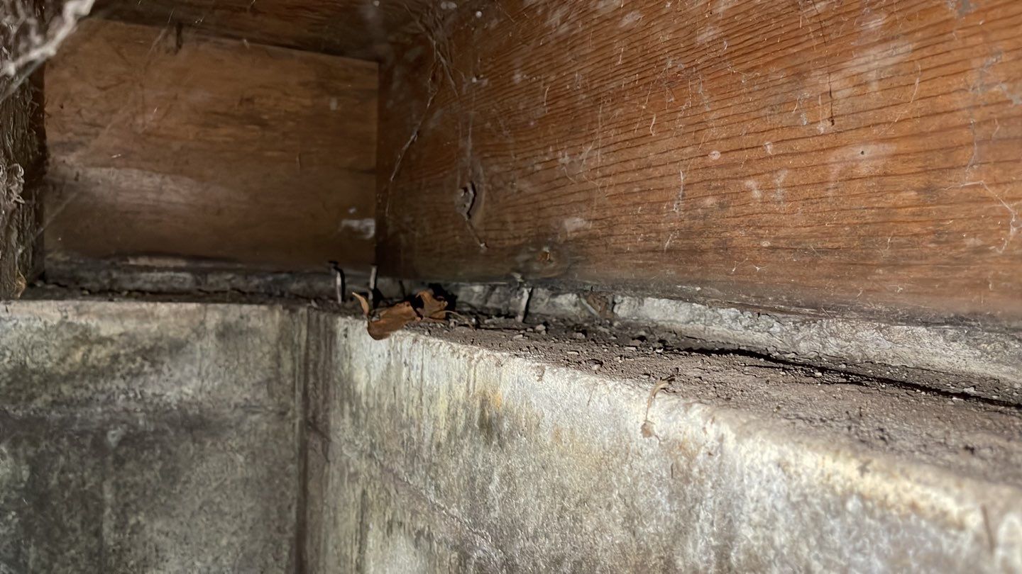 Shallow Waterproofing System and Crawl Space Repairs by Toledo Basement Repair