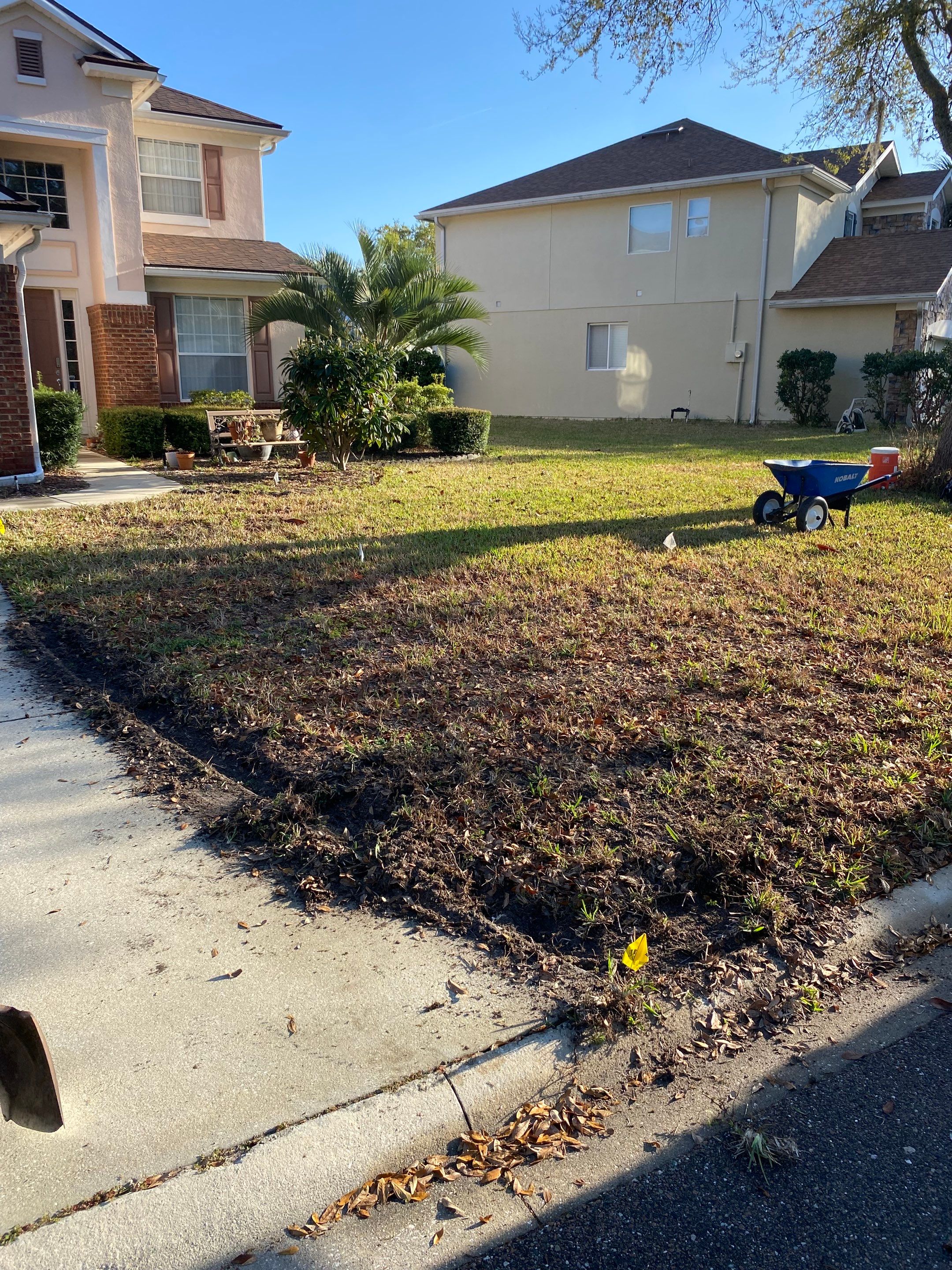 Residential | Sod Install by ProGreen Services