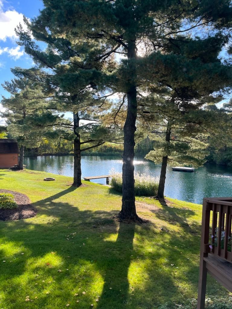 Tree Trimming using Tree Pruing by Mike Jones & Sons Tree Service LLC 