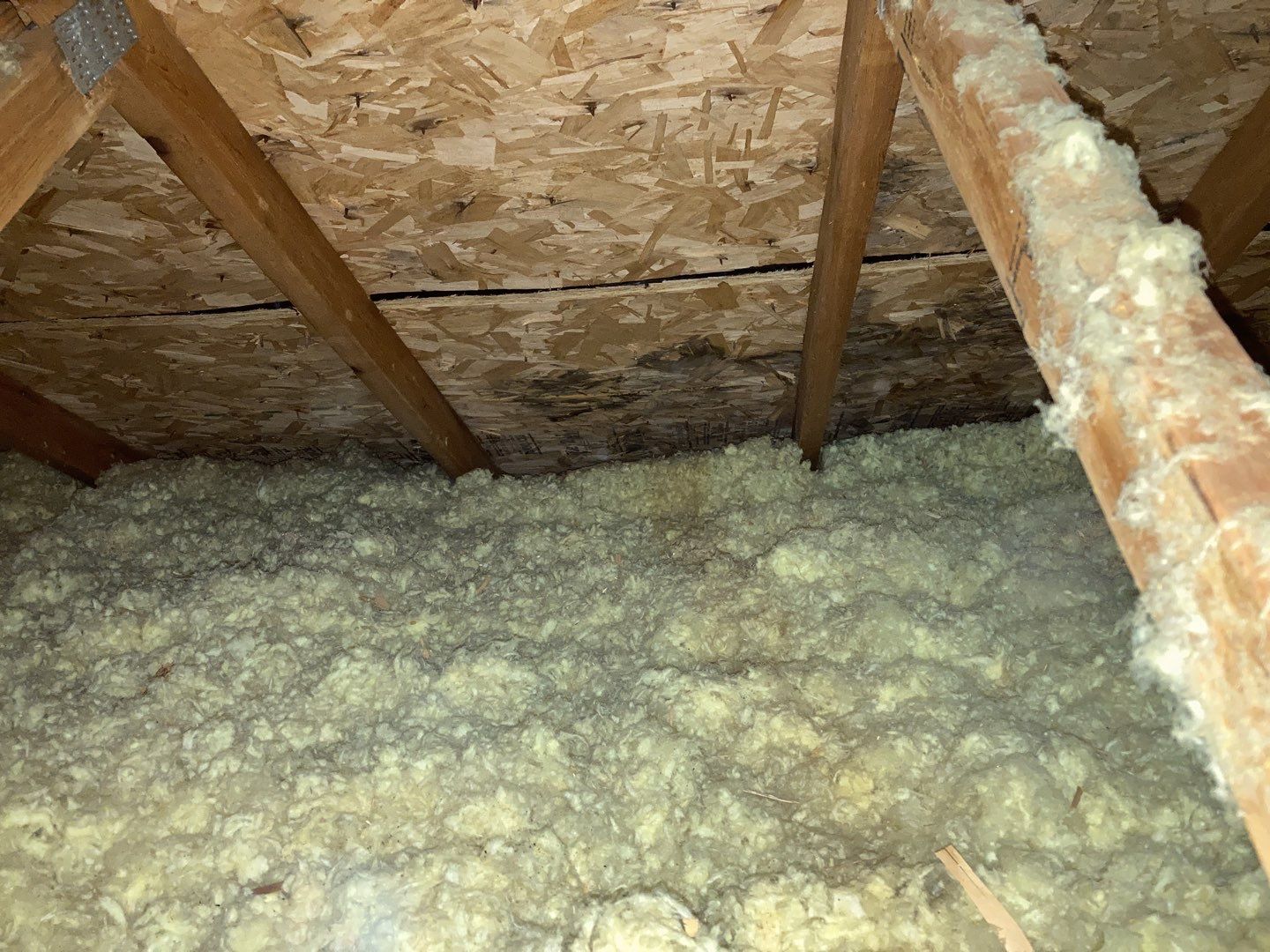 Mold Remediation Cleanup in Attic by Accountable Home Services