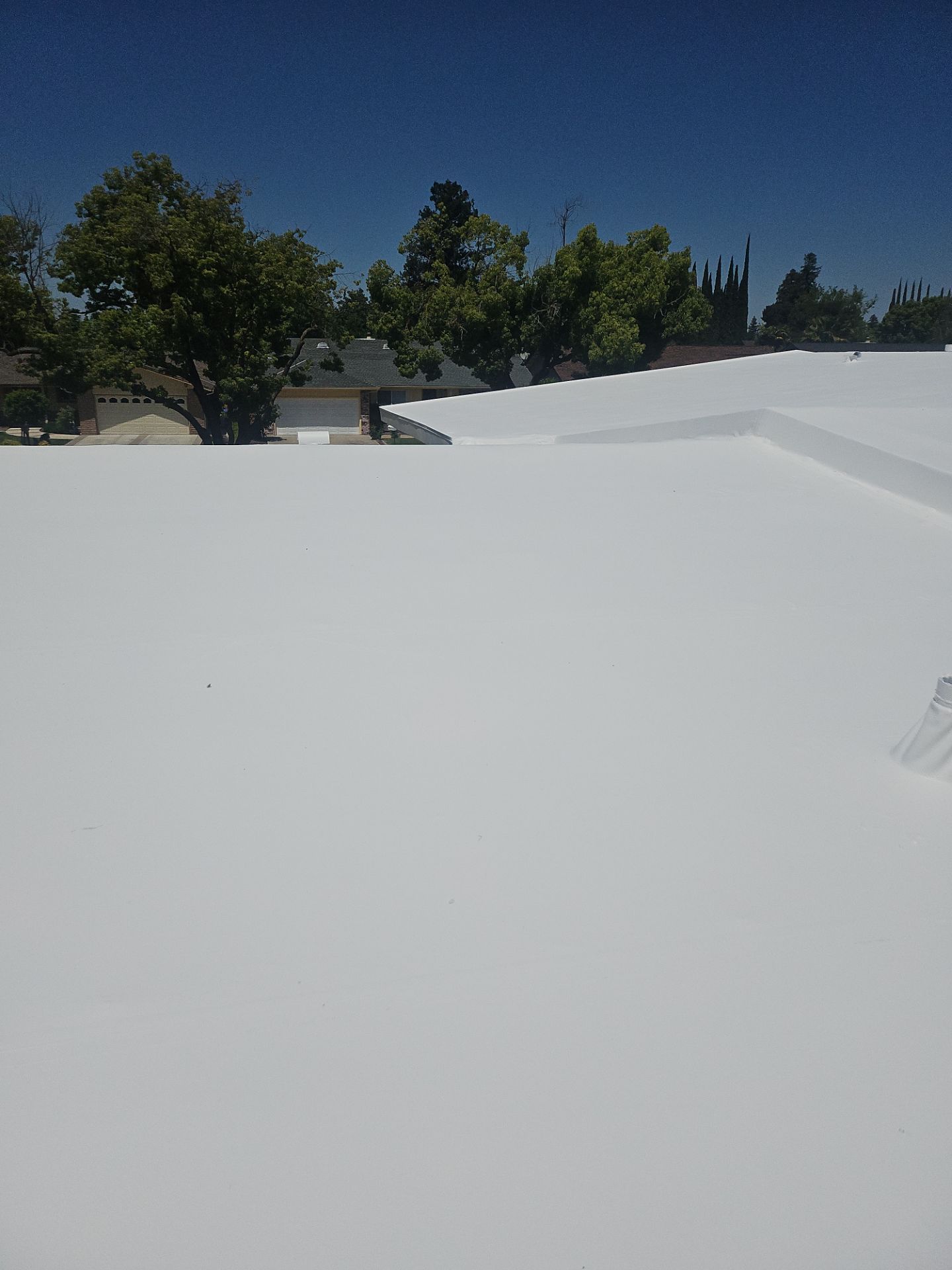 Single-ply restoration system using Benchmark/PUMA XL coatings over TPO single-ply roofing by Straight Edge Roofing Inc