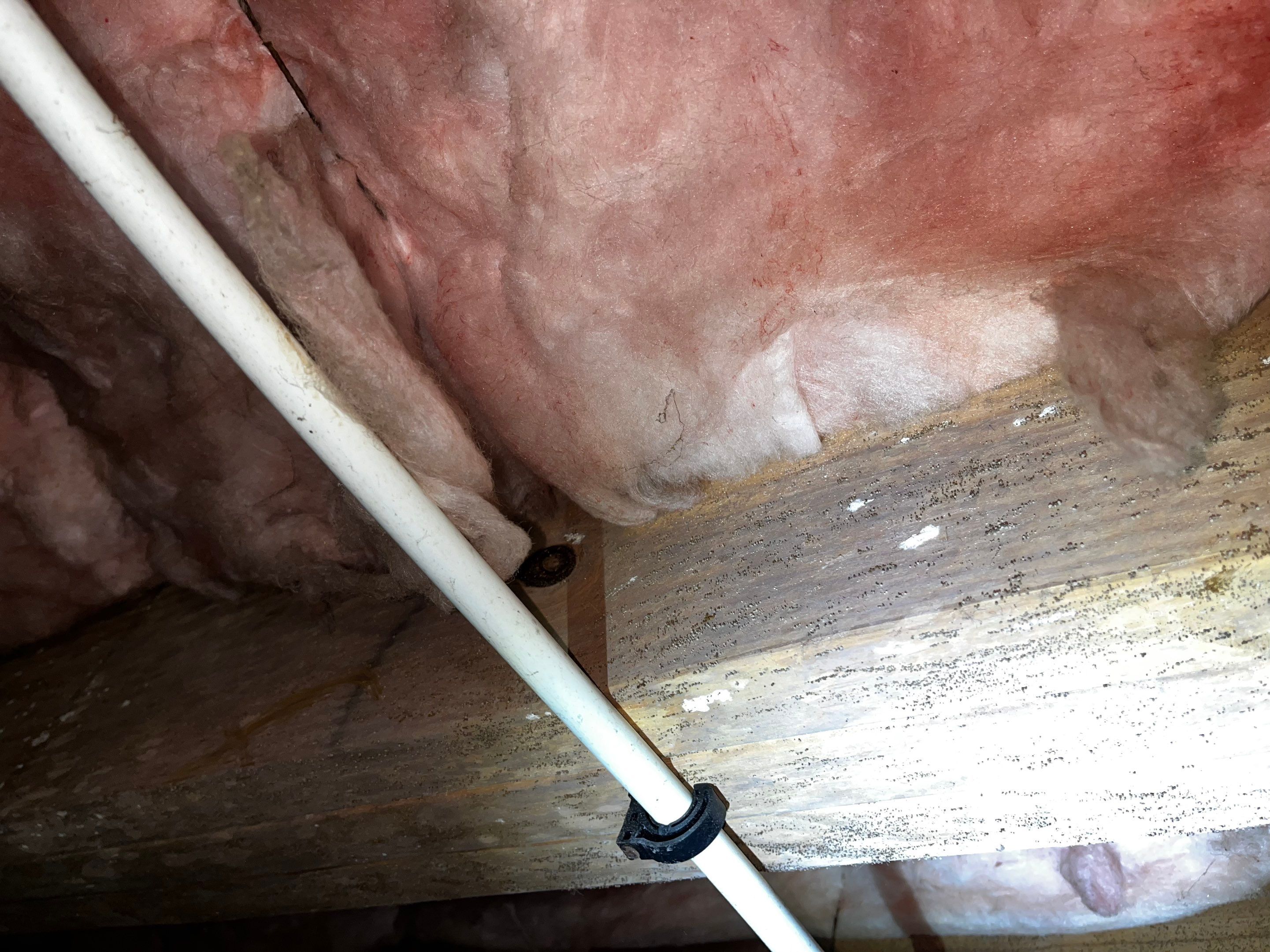 Impact Choice Encapsulation with Mold Removal. by Impact Crawlspace