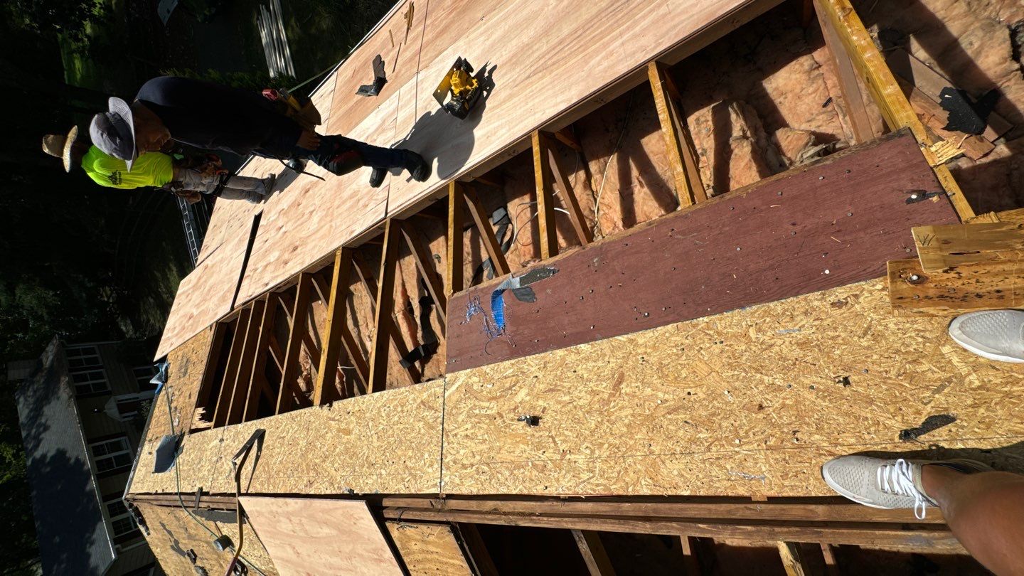 Reston: Roof Replacement with CertainTeed Landmark Pro Designer Shingles in Max Def Moire Black by RM Banning, Inc.