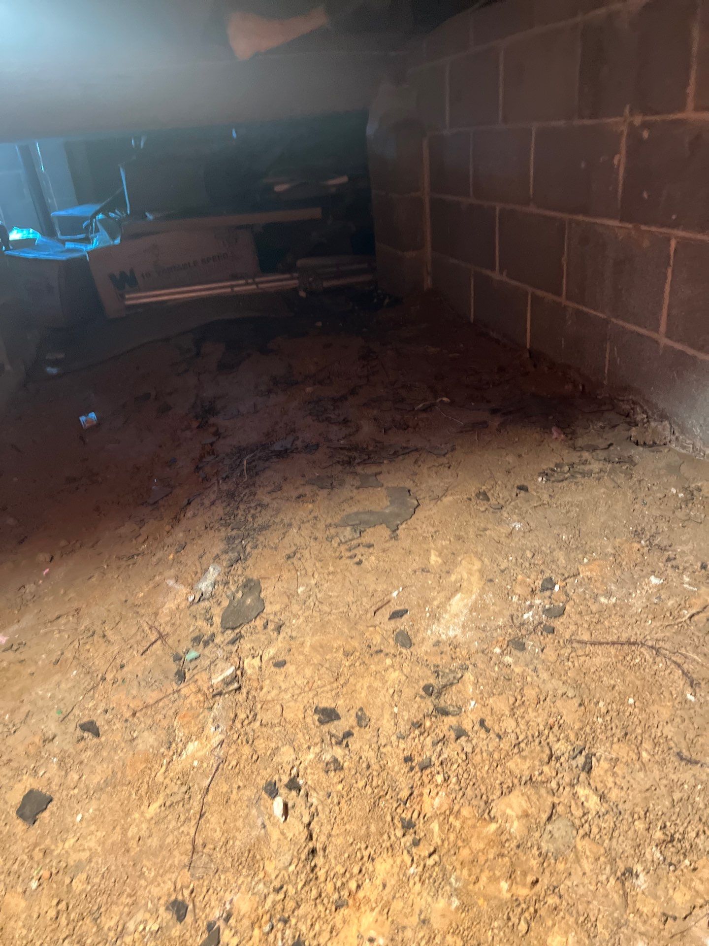 Emergency Water Mitigation & Structural Cavity Drying in Wilmington by Right On Time Restoration