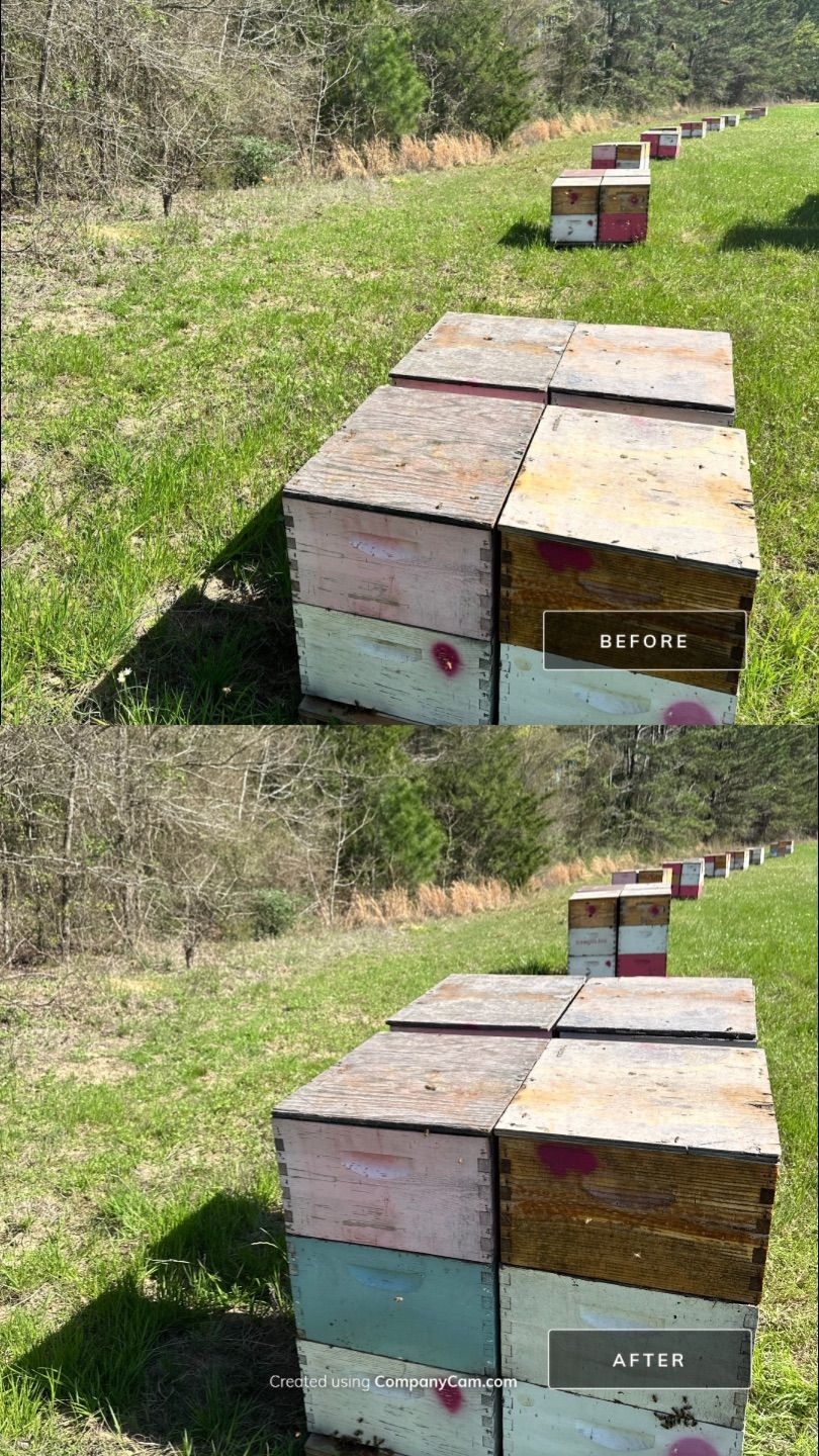 W Family Apiary by Rockwall Honey Bee Company