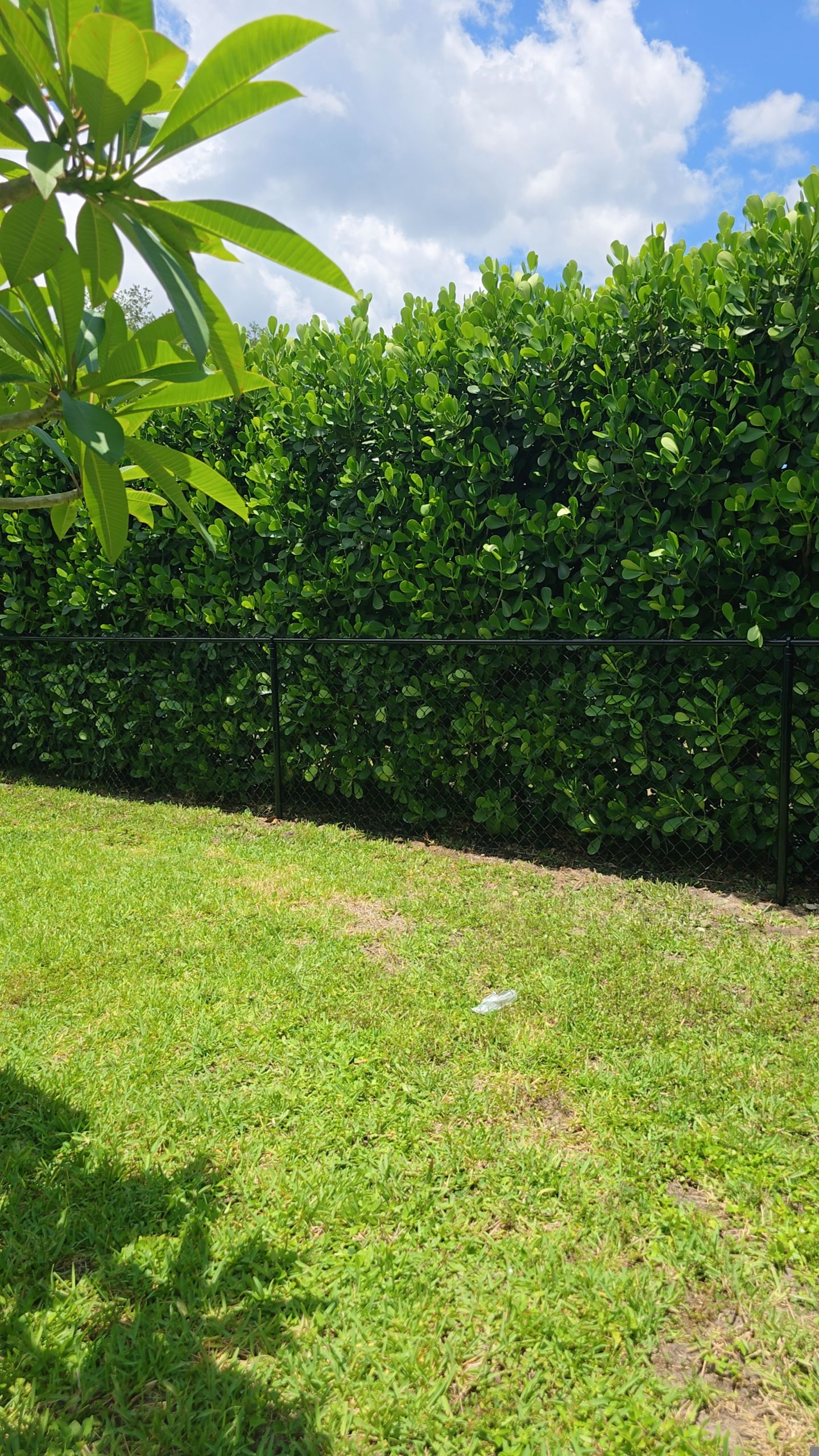 Residential Chain Link Fence Repair and Vinyl Privacy Gate Installation in Naples by True Fence LLC