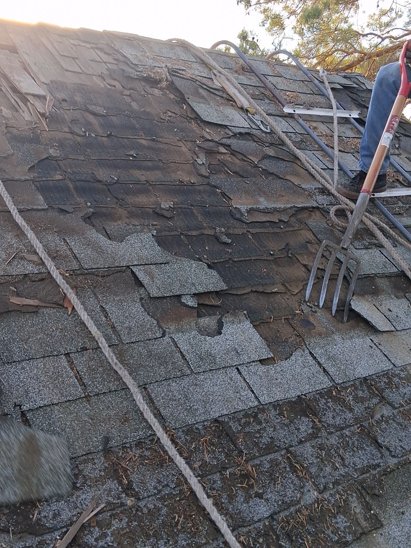 Project in Conrad by KQC Roofing