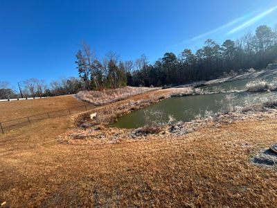 Project in Charlotte