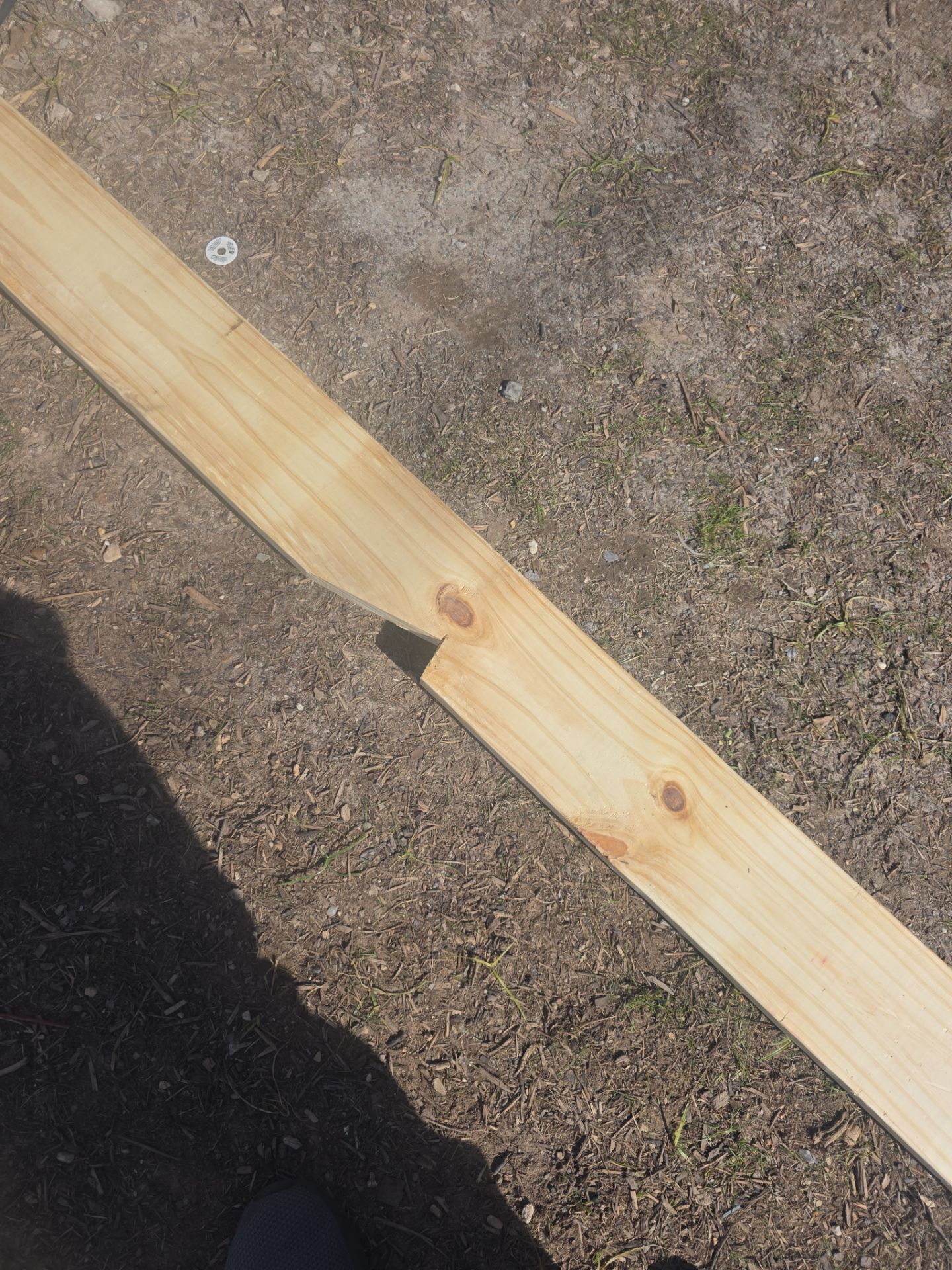 Custom patio for under 20. by REPS OF TEXAS