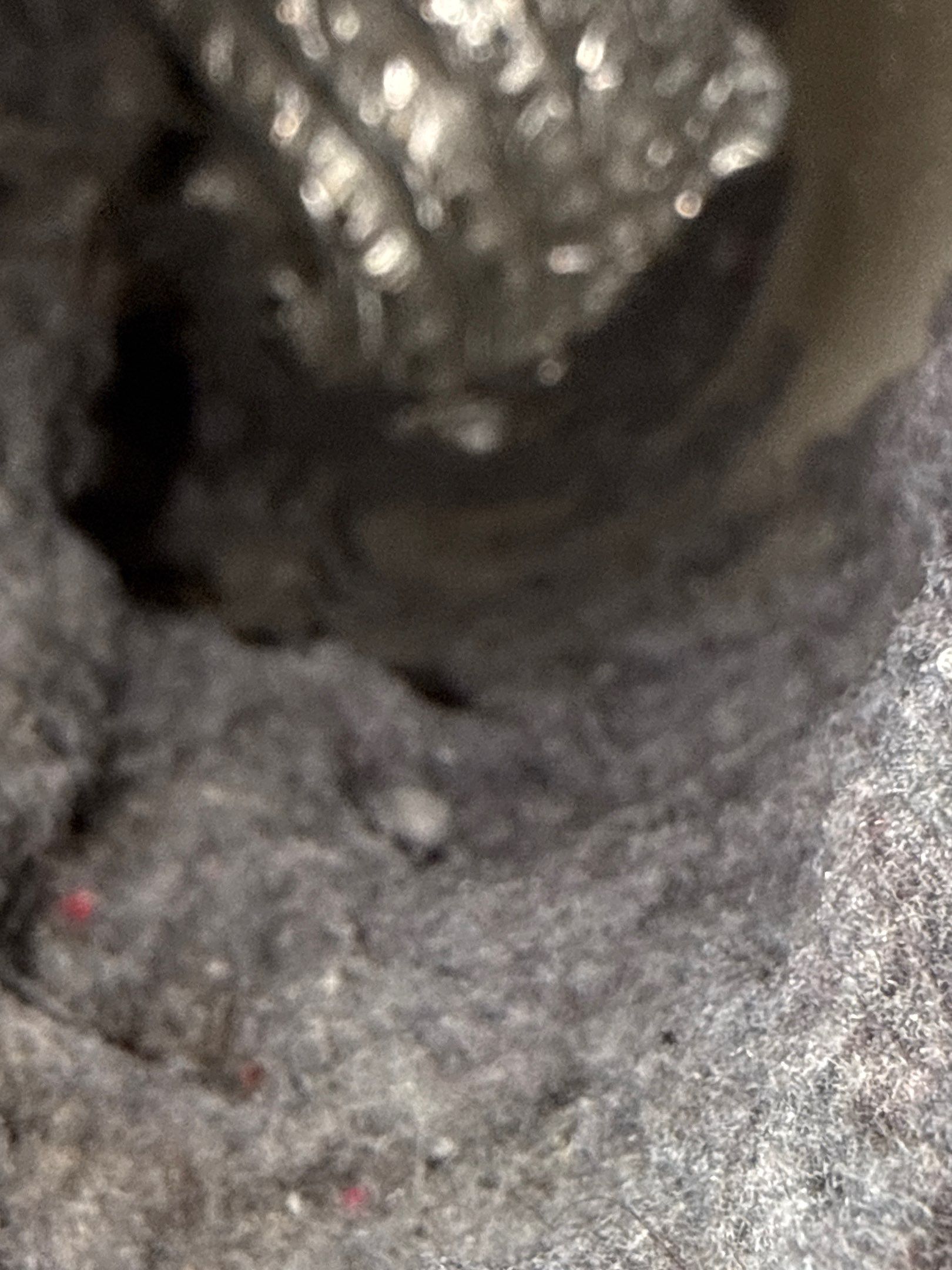 Dryer Vent Cleaning in Cranberry Twp, PA by Superior Air Duct Cleaning