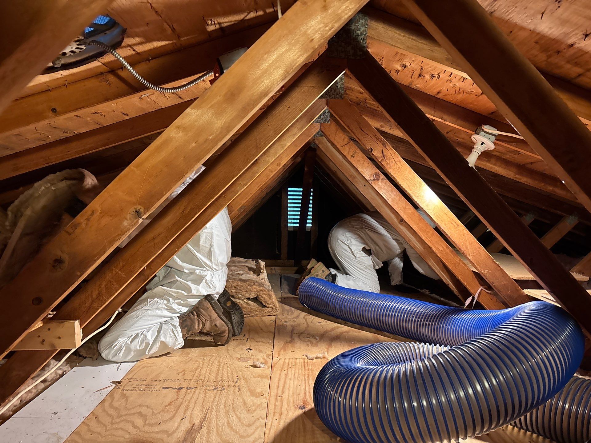 Eliminating Attic Mold and Ice Formation in Bethel Park, PA 15102 by Home Environment Solutions