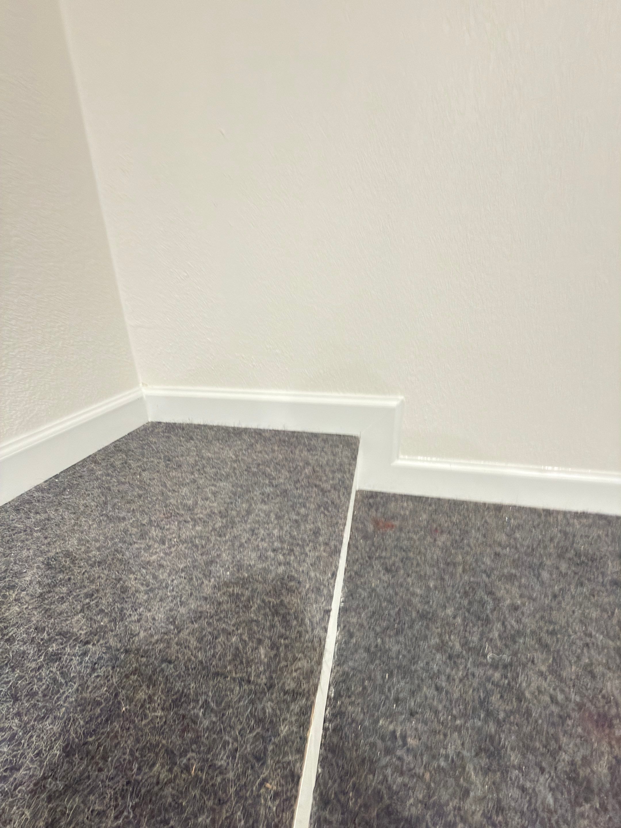 Storage Room Rebuild by Anza Builders, Inc. 