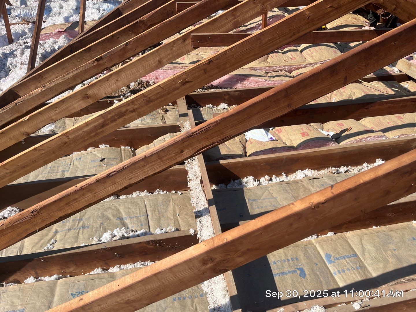 Lisa N by Boss Hogg Roofing