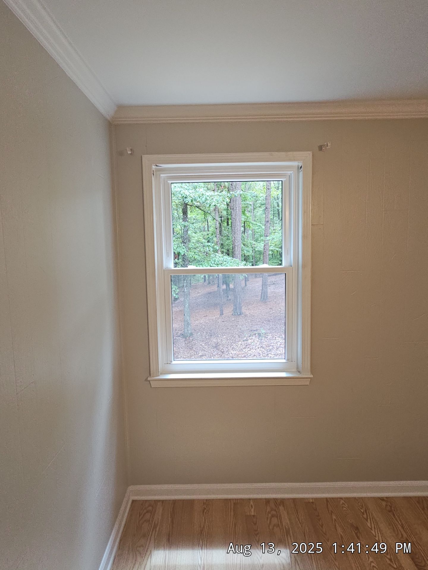 Reed Project in Chelsea by The Window Source