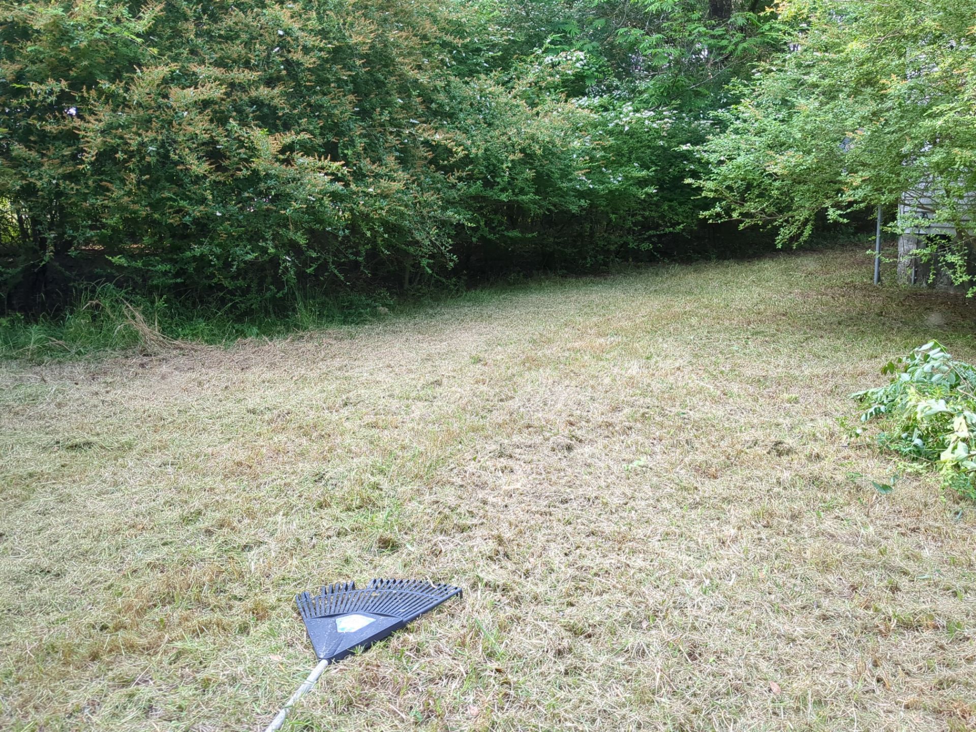 Exterior Clearing - tree trimming - grass cut by Swift Signings and Services LLC