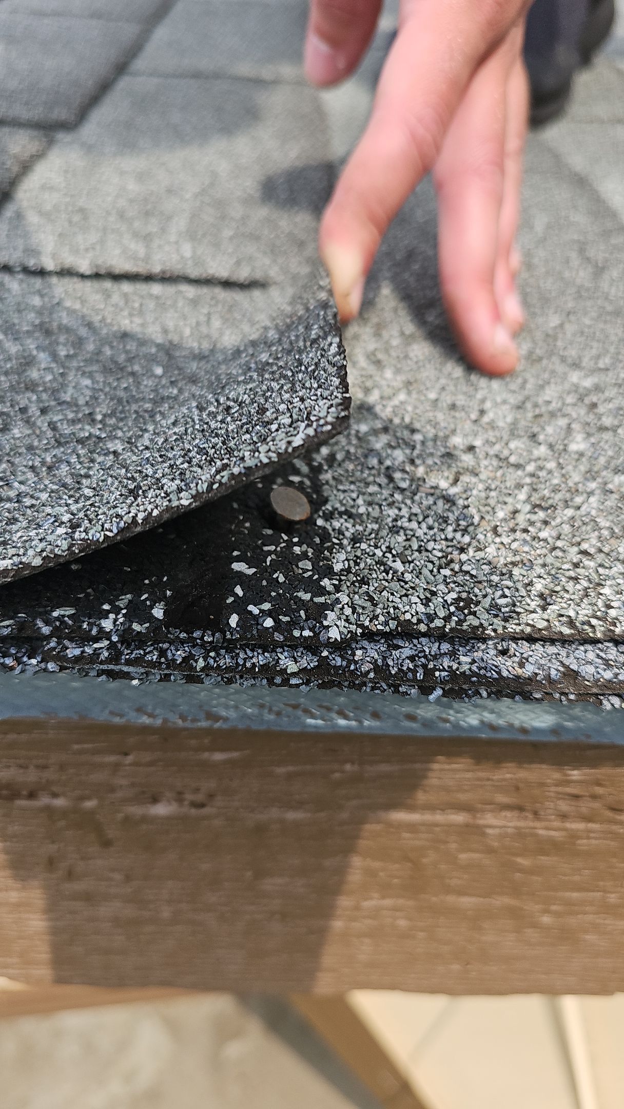 ATLAS PINNACLE COLOR: MORNING HARVEST by Eagle Eye Roofing
