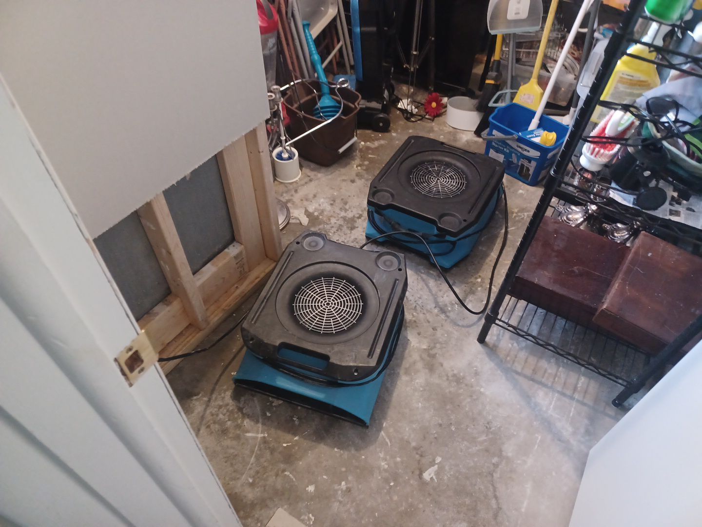 Project in Royal Oak by EzDry Water Mitigation & Property Restoration