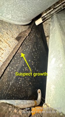 Air Duct Cleaning in Ocoee