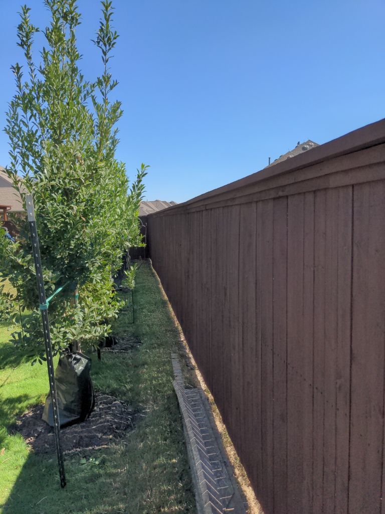 Roof Replacement in Trophy Club by Blackforest Roofing