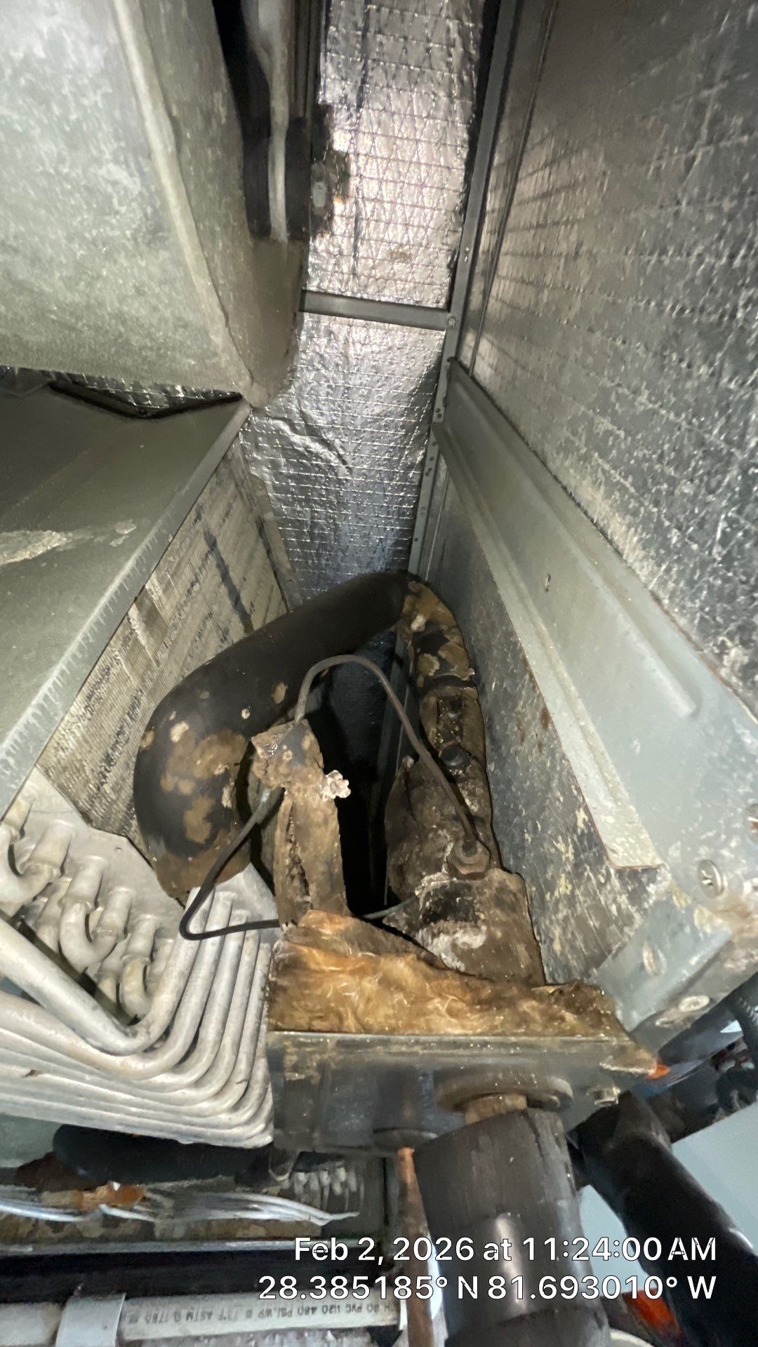 Air Duct Bathroom Exhaust Fans Cleaning in Clermont by Hygienic Air, Inc
