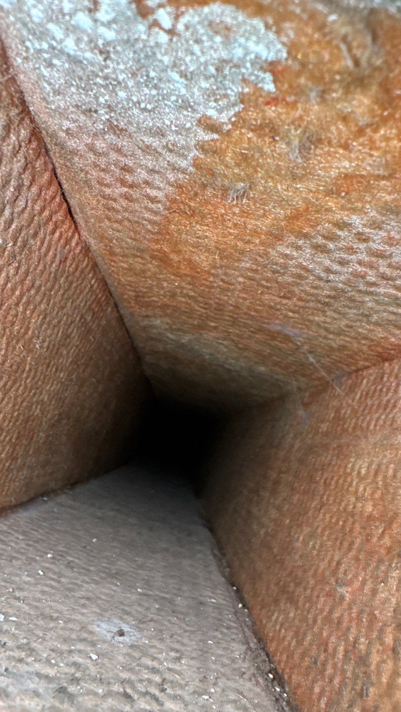 Air Duct Cleaning in Clermont by Hygienic Air, Inc