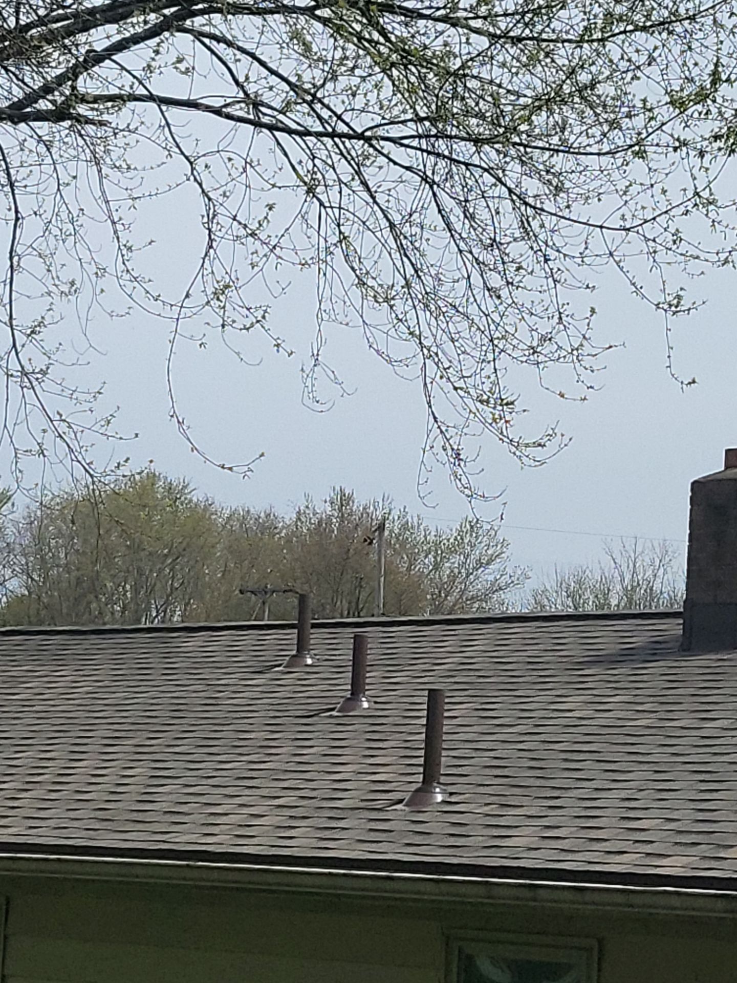 Atlas Pinnacle, Color, Weathered Shadow, Drip Edge, Color, Royal Brown by Eagle Eye Roofing