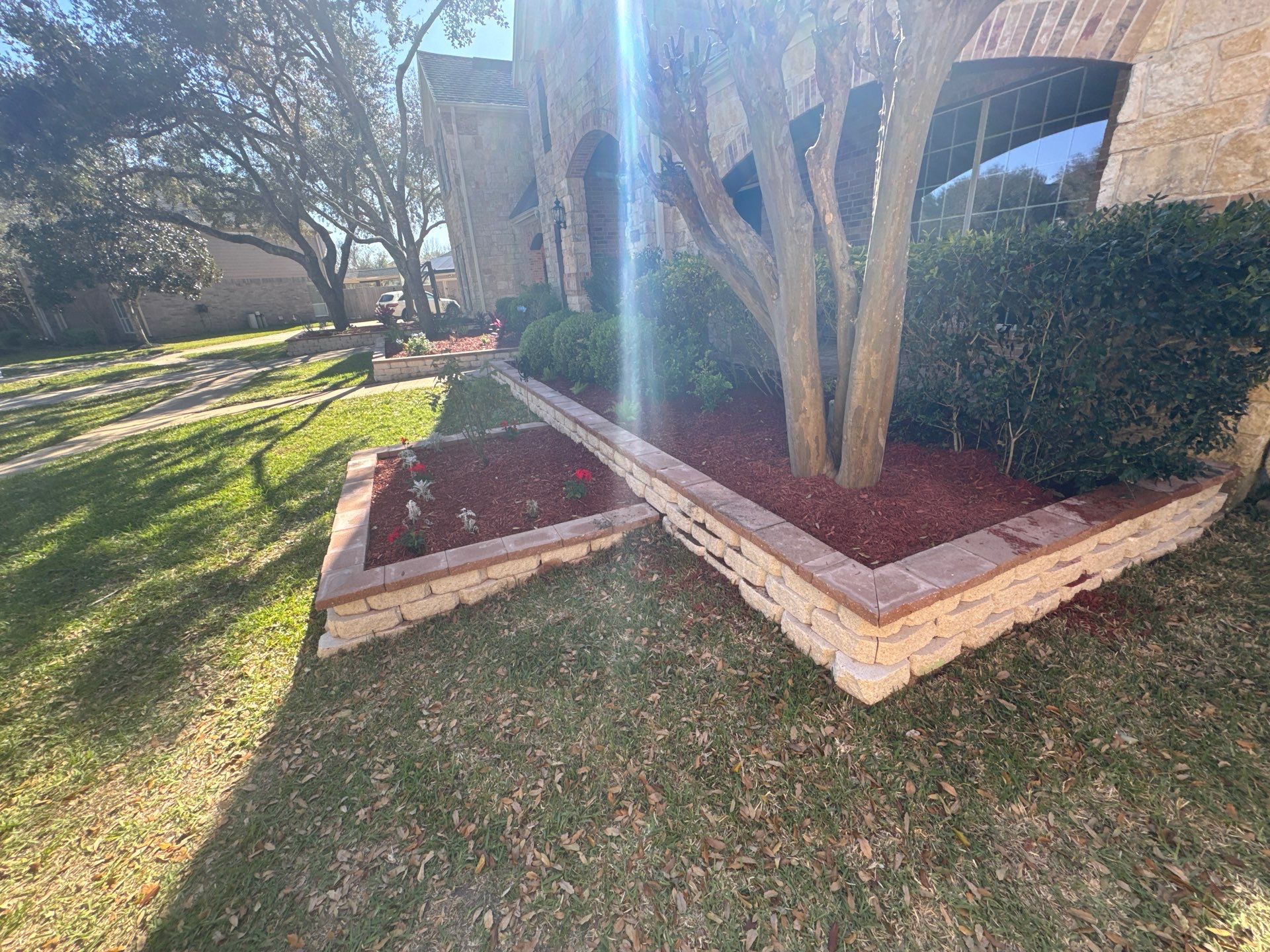 🌿 Mr. George – A True Curb Appeal Conversion by Texas Urban Elements