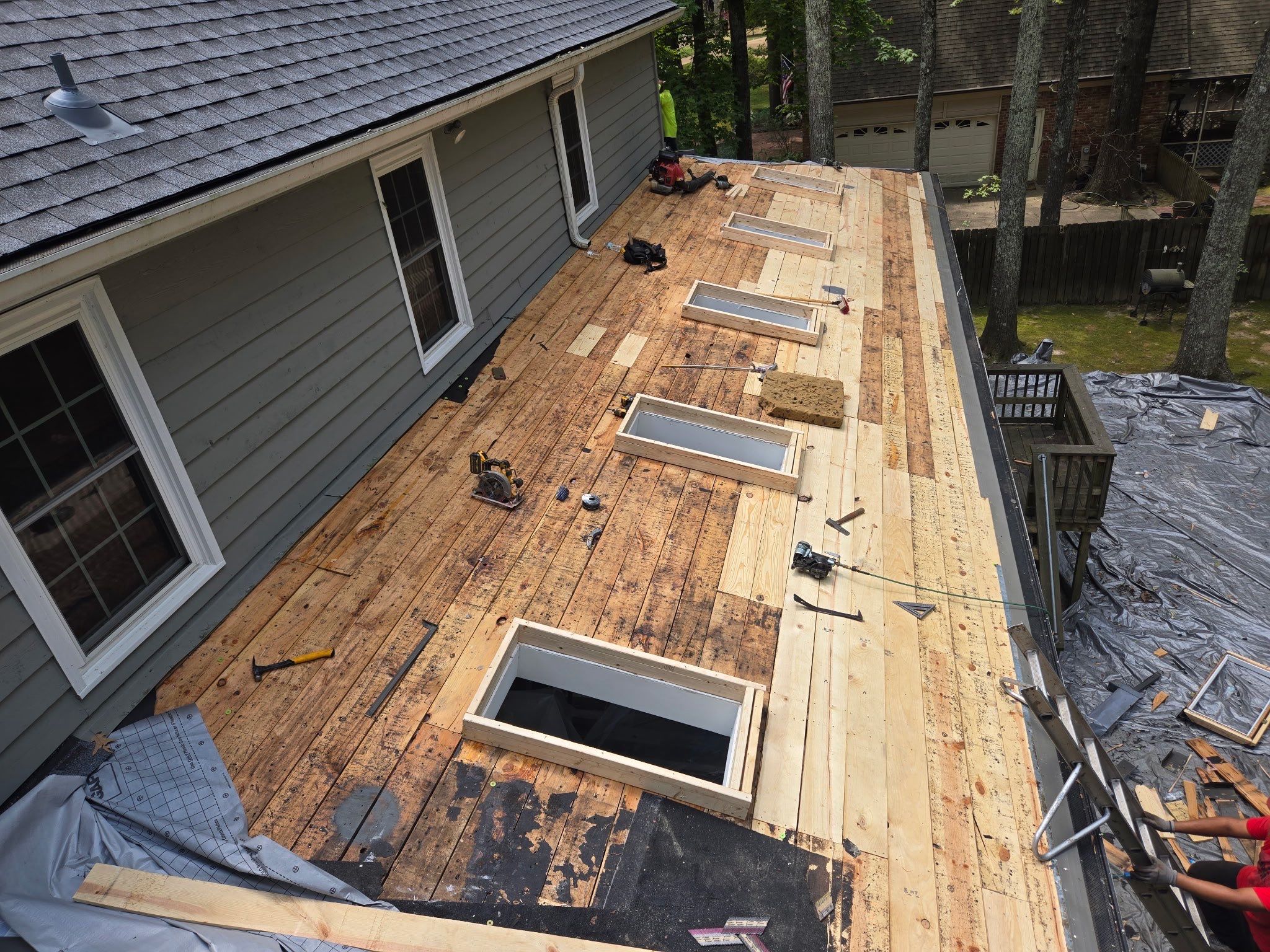 Collierville Roof Replacement Following Major Tree Impact Damage with interior repairs by Revival Roofing Services