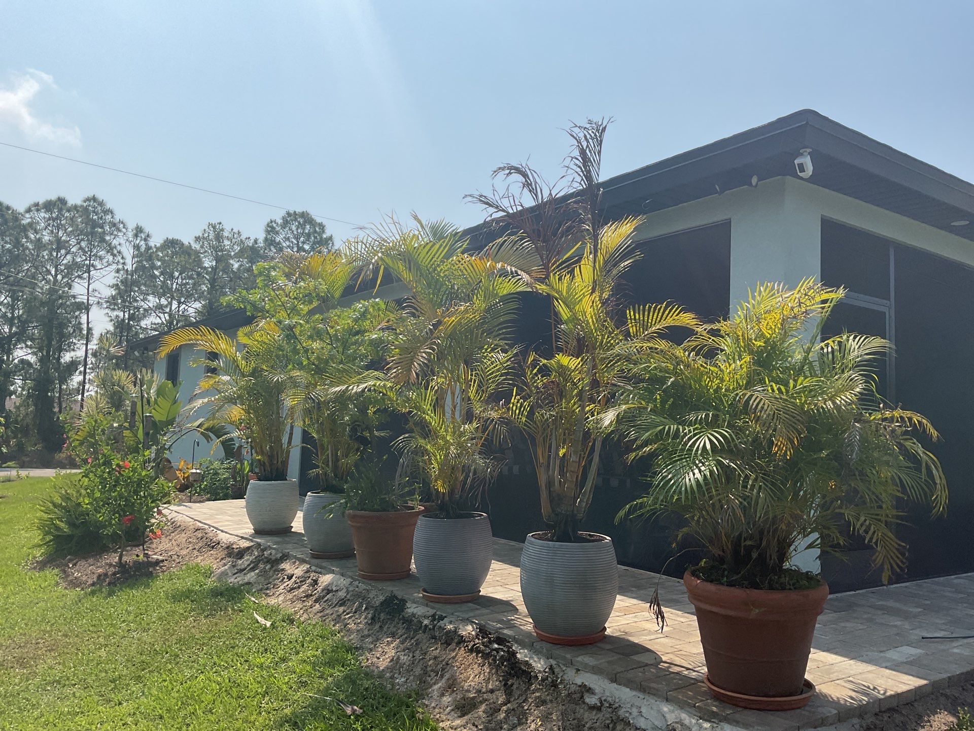 Musket Brown and New Downspouts in Lehigh Acres, FL  by Gutter Professors