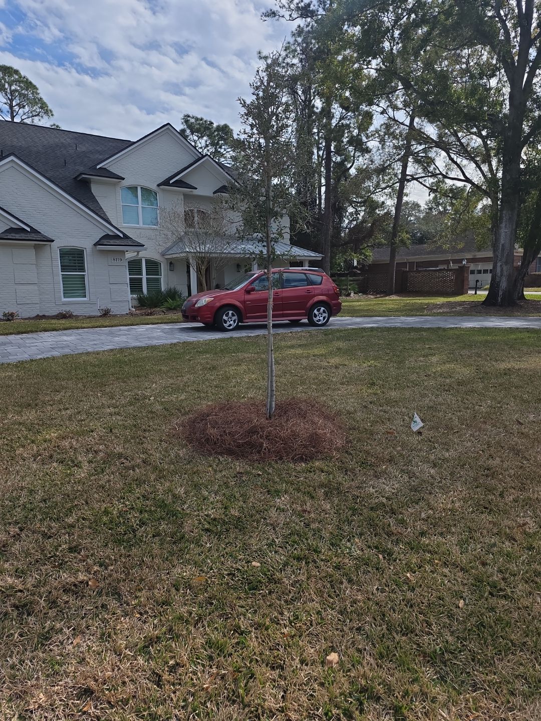 Deerwood Resident | Tree Install by ProGreen Services